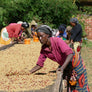 Tanzania Ngila