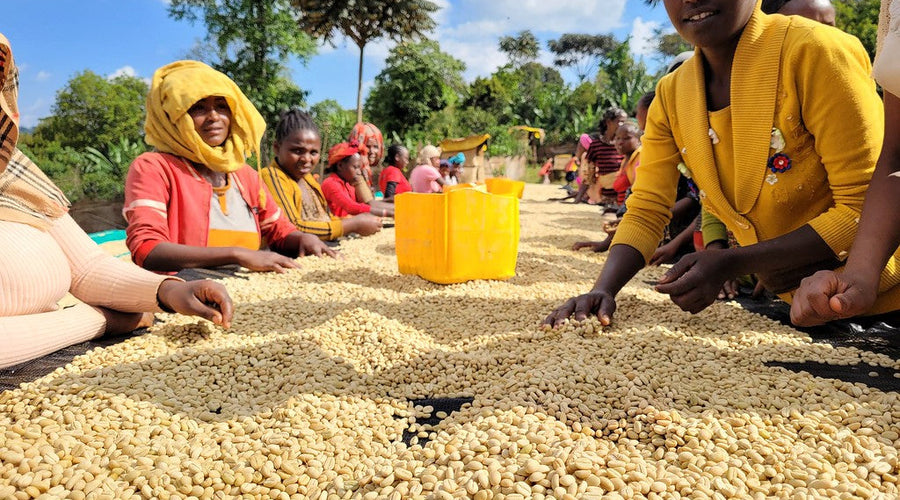 A Focus On: Ethiopia