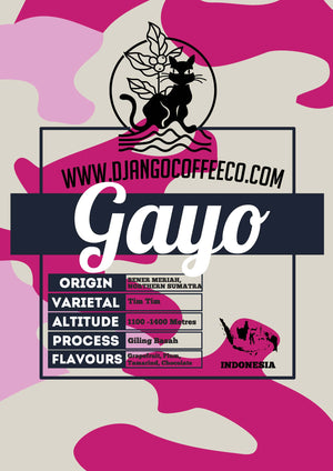 Indonesia Gayo