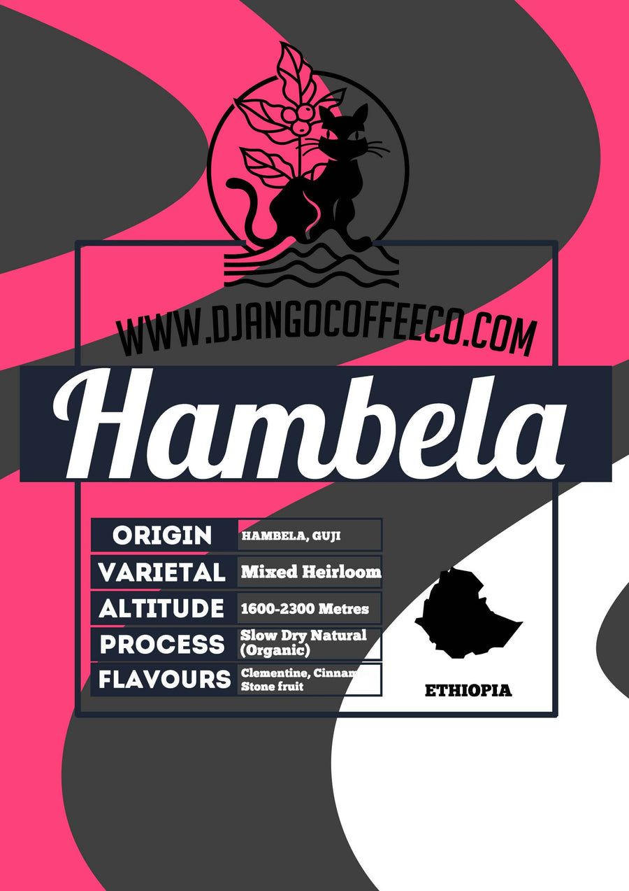 Ethiopia Hambela