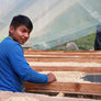 Decaf Colombia La Plata