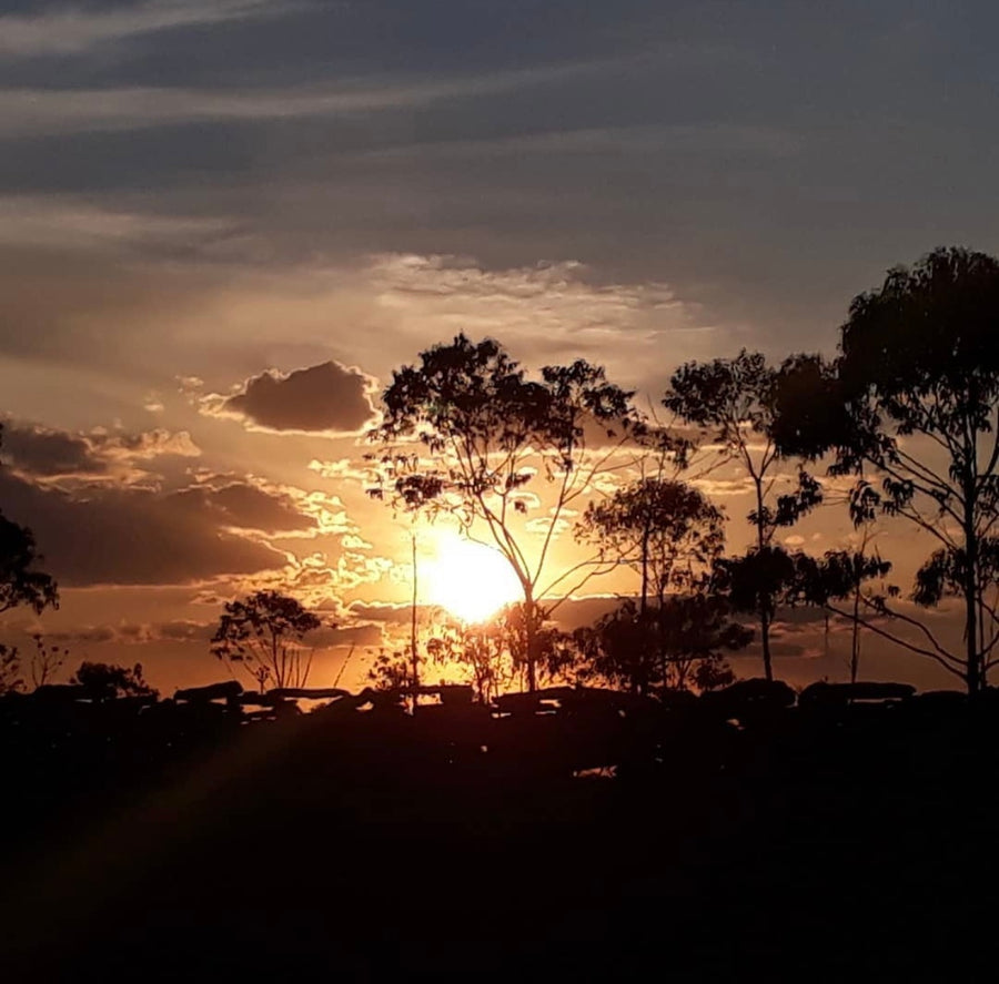 Brazil Caixa Da Fruta