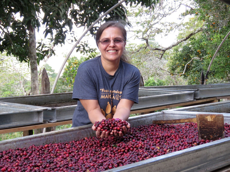 Honduras COSMA