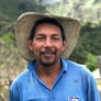 Decaf Colombia La Plata