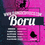 Ethiopia Boru
