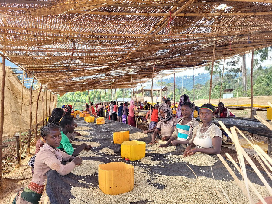 Ethiopia Chelbesa