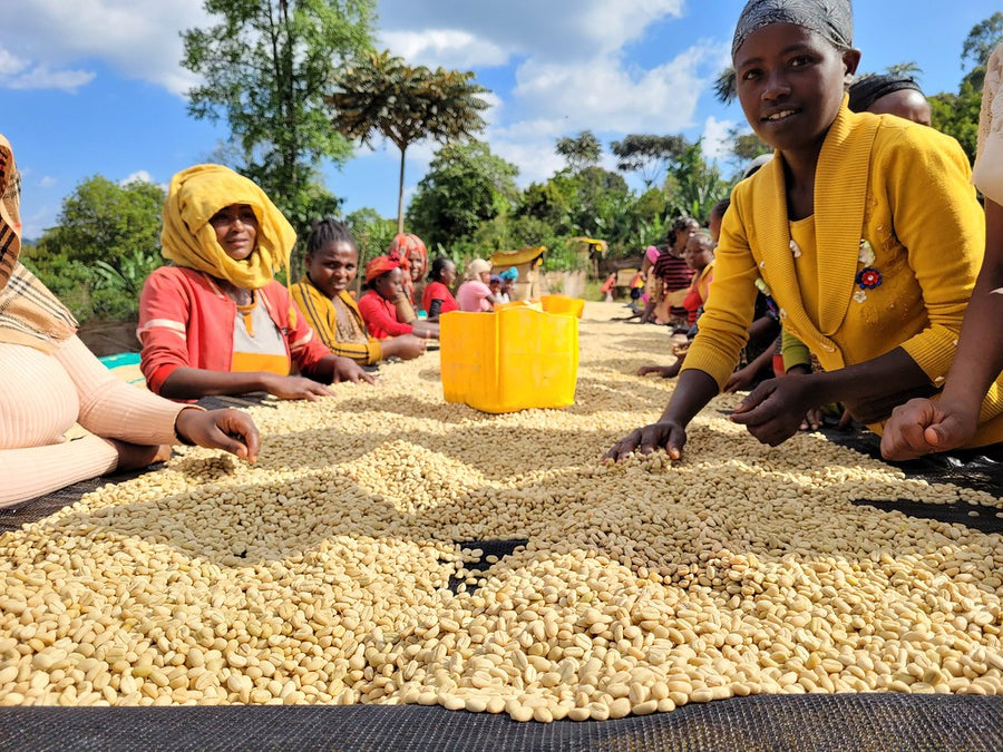 Ethiopia Chelbesa