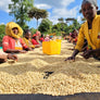 Ethiopia Chelbesa
