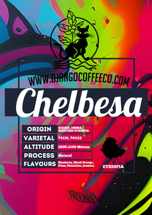 Ethiopia Chelbesa