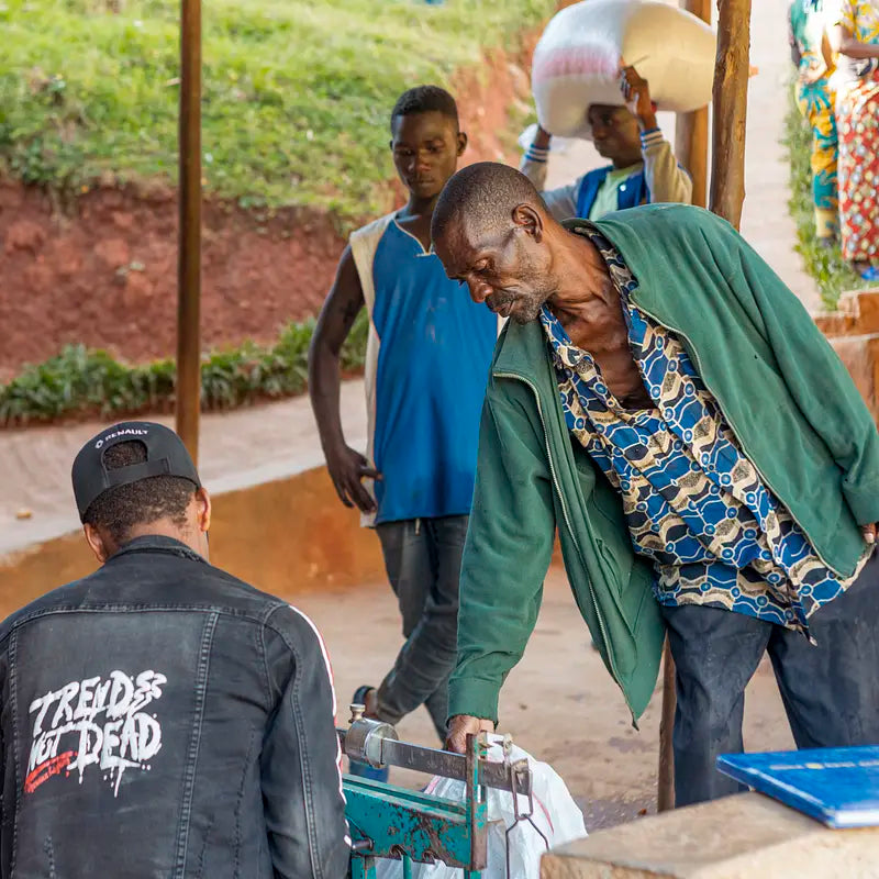 Rwanda Gasharu