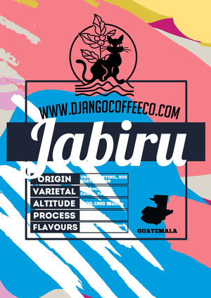 Guatemala Jabiru