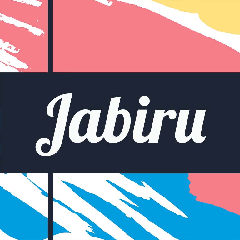 Guatemala Jabiru