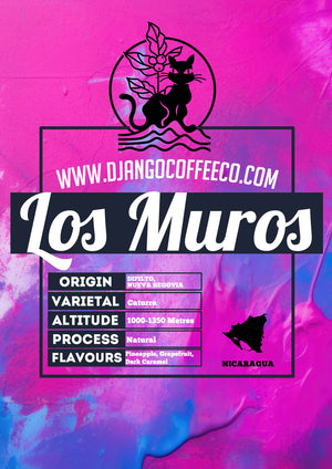 Nicaragua Los Muros