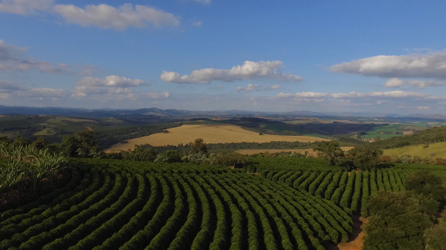 Brazil Caixa Da Fruta
