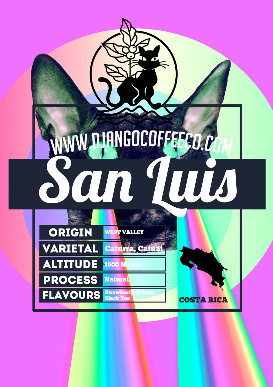 Costa Rica San Luis