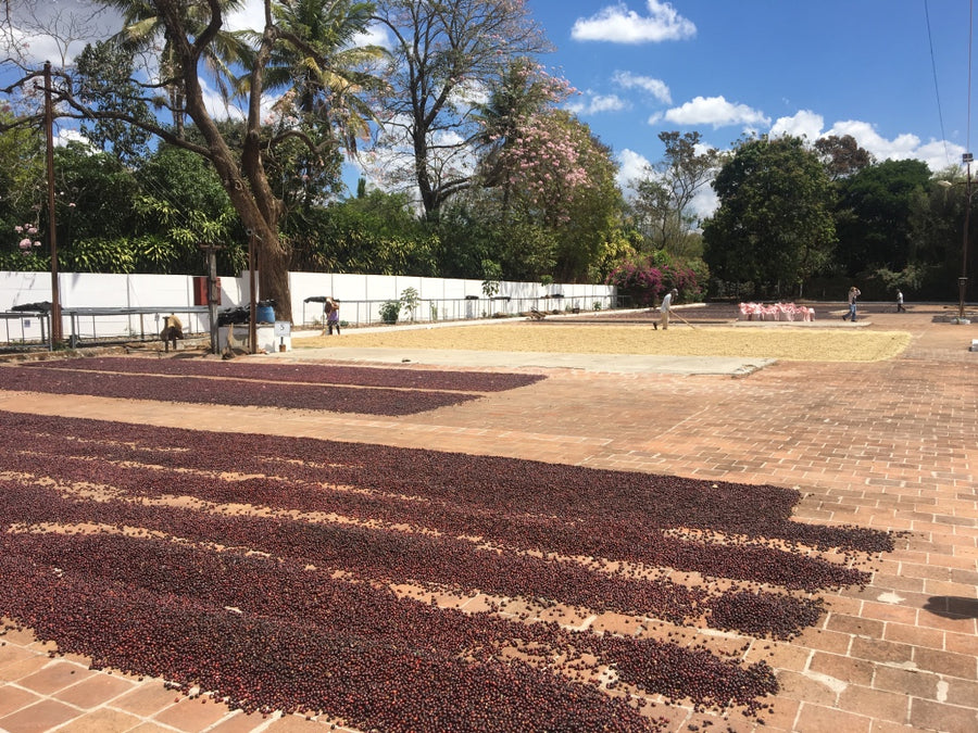 El Salvador La Reforma