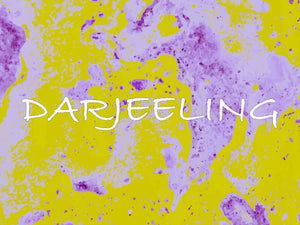 Darjeeling - Django Coffee Co. 
