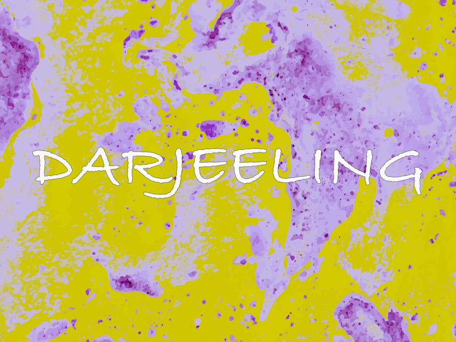 Darjeeling - Django Coffee Co. 
