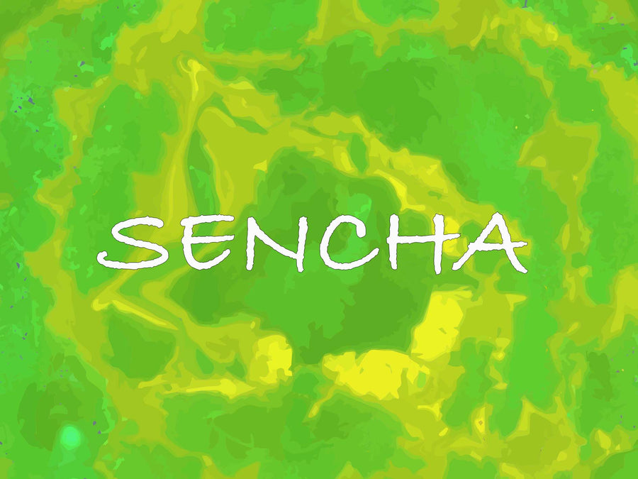 Japan Sencha - Django Coffee Co. 